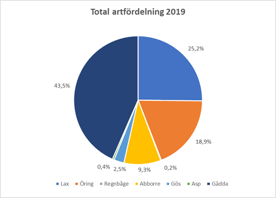 Fig. Artfördelning på alla rapporterade fångster 2019.